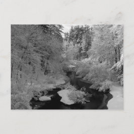 Winter in New England Briefkaart