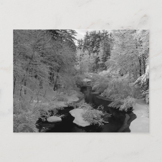 Winter in New England Briefkaart (Voorkant)