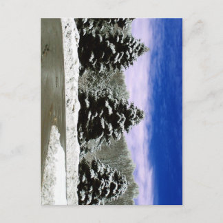 Winter in New England Briefkaart