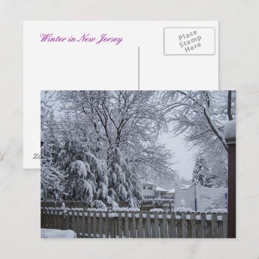 Winter in New Jersey Briefkaart (Voorkant / Achterkant)