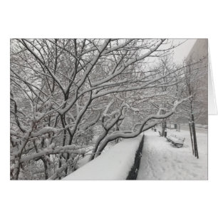 Winter in New York City Riverside Park Snow NYC