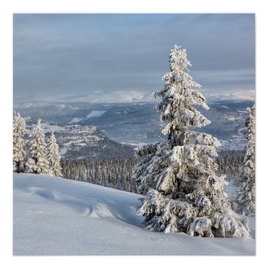 Winter in Noorwegen Perfect Poster (Voorkant)