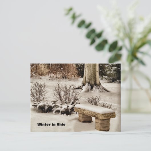 Winter in Ohio Briefkaart (Staand voorkant)