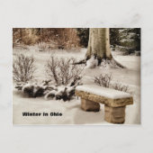 Winter in Ohio Briefkaart (Voorkant)