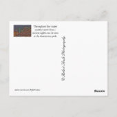 Winter in Omaha Nebraska Briefkaart (Achterkant)