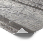 Winter in Pike National Forest Poster (Hoek)