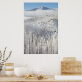 Winter in Pike National Forest Poster (Keuken)