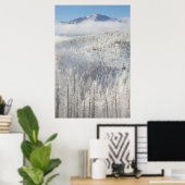 Winter in Pike National Forest Poster (Thuiskantoor)