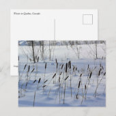 Winter in Quebec, Canada Briefkaart (Voorkant / Achterkant)