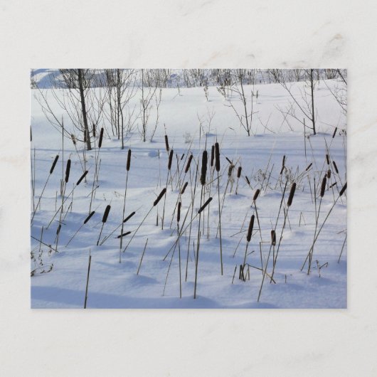 Winter in Quebec, Canada Briefkaart (Voorkant)
