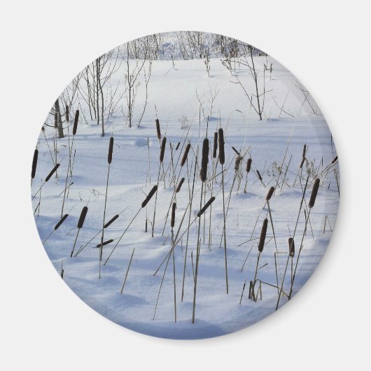 Winter in Quebec, Canada Magneet (Voorkant)