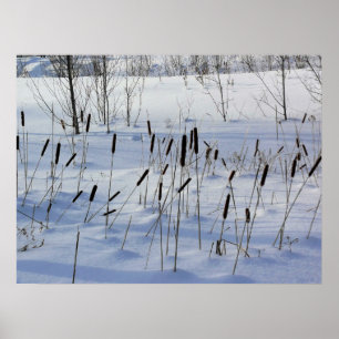 Winter in Quebec, Canada Poster