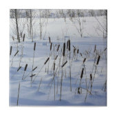 Winter in Quebec, Canada Tegeltje (Voorkant)