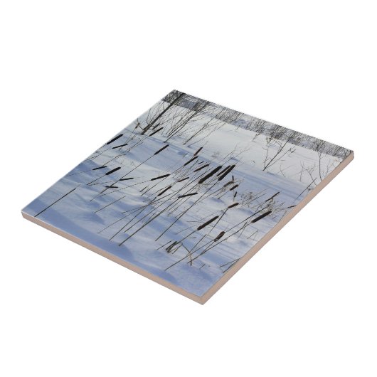 Winter in Quebec, Canada Tegeltje (Zijkant)