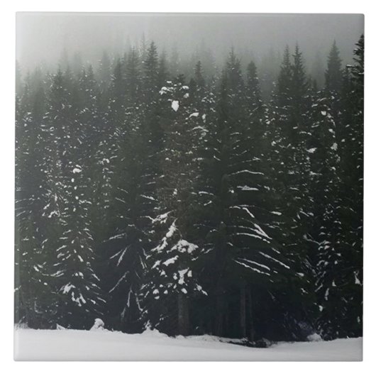 Winter in the Mountain Forest Tegeltje (Voorkant)