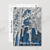 Winter in Wisconsin Briefkaart (Voorkant / Achterkant)