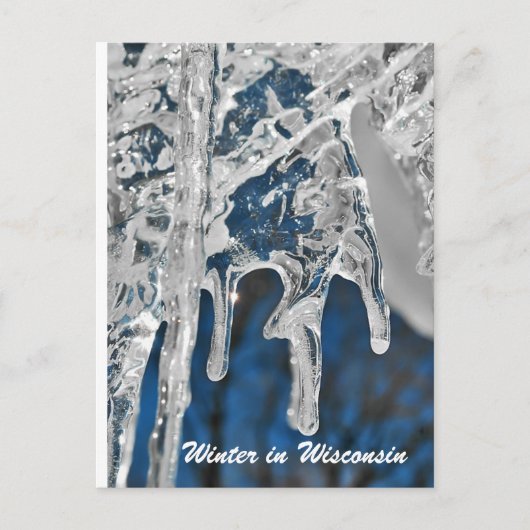 Winter in Wisconsin Briefkaart (Voorkant)
