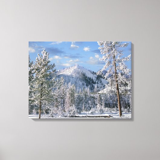 Winter in Yellowstone National Park Wyoming Canvas Afdruk (Voorkant)