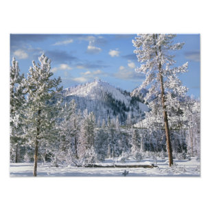 Winter in Yellowstone National Park Wyoming Foto Afdruk