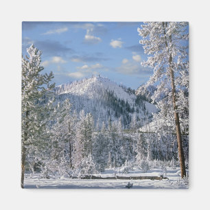 Winter in Yellowstone National Park Wyoming Magneet
