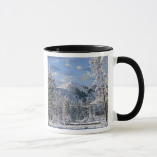 Winter in Yellowstone National Park, Wyoming Mok