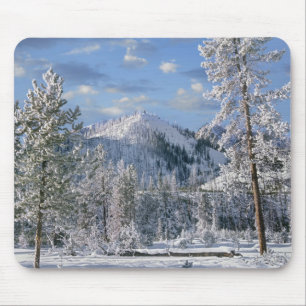 Winter in Yellowstone National Park Wyoming Muismat