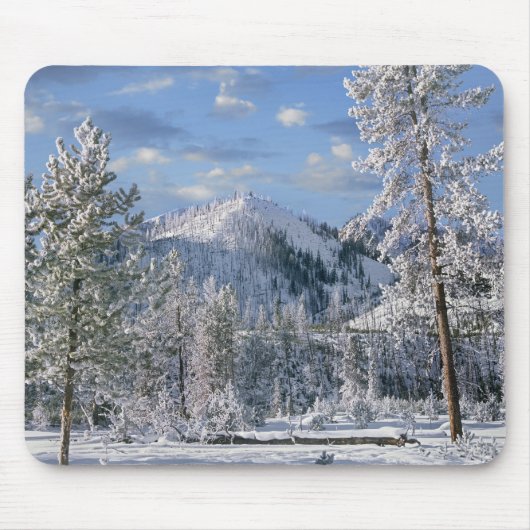 Winter in Yellowstone National Park Wyoming Muismat (Voorkant)