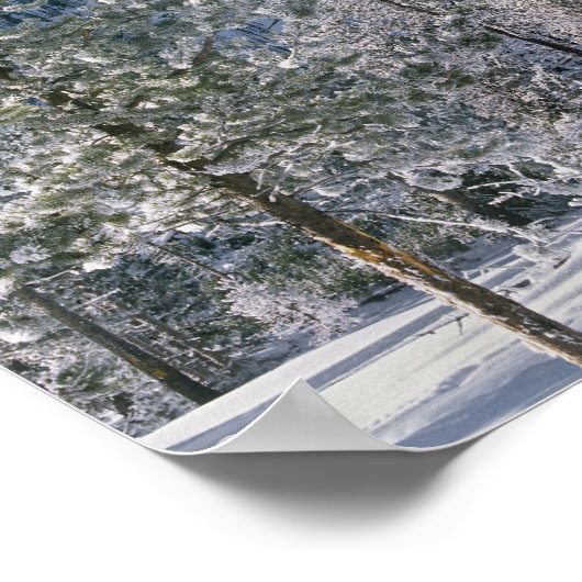 Winter in Yellowstone National Park Wyoming Poster (Hoek)