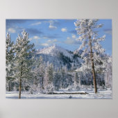 Winter in Yellowstone National Park Wyoming Poster (Voorkant)