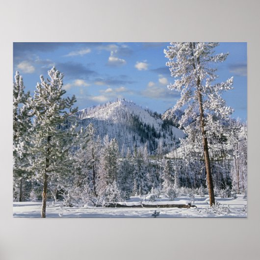 Winter in Yellowstone National Park Wyoming Poster (Voorkant)