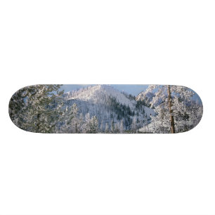 Winter in Yellowstone National Park Wyoming Skateboard