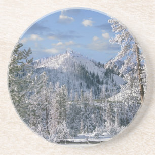 Winter in Yellowstone National Park, Wyoming Zandsteen Onderzetter