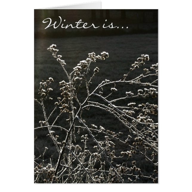 Winter is (Voorkant)