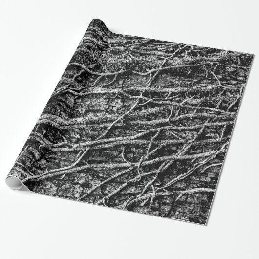 Winter Ivy Cadeaupapier (Uitgerold)