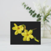 Winter Jasmine Briefkaart (Staand voorkant)