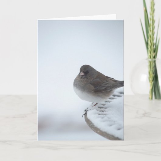 Winter Junco Kaart (Voorkant)