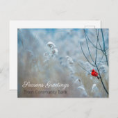 Winter Kardinaal kerstfeest Briefkaart (Voorkant / Achterkant)