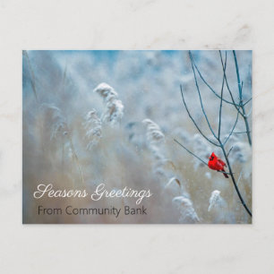 Winter Kardinaal Kerstkaart Briefkaart