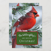 Winter Kardinaal RIP Gedenkteken Kerstbruiloft Kaart (Voorkant / Achterkant)