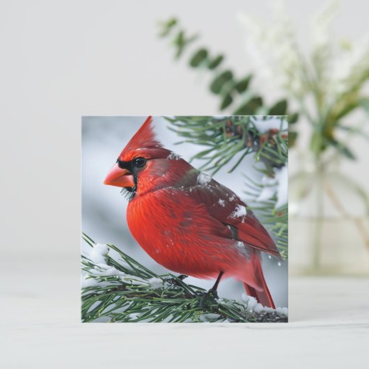 Winter Kardinaal Rode Vogel Pijn Kerstbruiloft Bedankkaart (Staand voorkant)