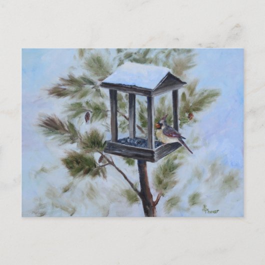 Winter Kardinaal Visitor Briefkaart (Voorkant)