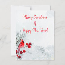 Winter Kardinaal Vrolijk Kerstfeest