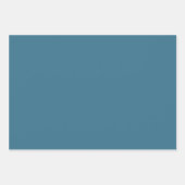 Winter Kardinalen en Bloemen Kerstmis Inpakpapier Vel (Voorkant 2)