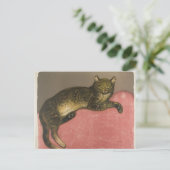 Winter: Kat op een kussen, R. Steinlen Briefkaart (Staand voorkant)