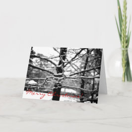 Winter [Kerst Kaart] Feestdagen Kaart