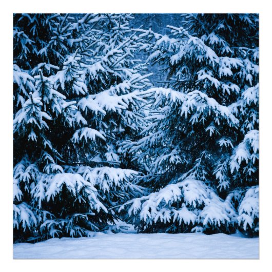 Winter Kerstboom Foto Afdruk (Voorkant)