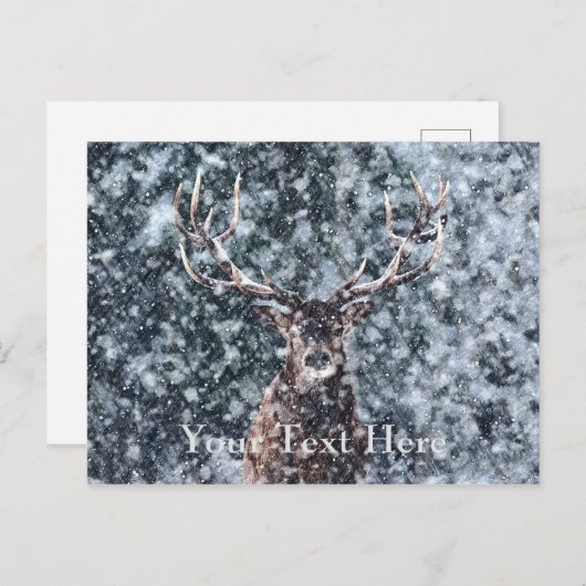 Winter Kerstdeer Briefkaart (Voorkant / Achterkant)