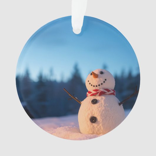 Winter Kerstman Ontwerp Ornament (voorkant)