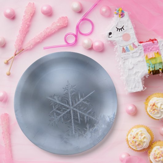 winter kerstmis 97 papieren bordje (Feest)