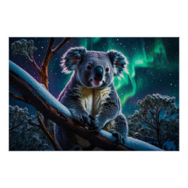 Winter Koala en Zuiderlicht Perfect Poster
